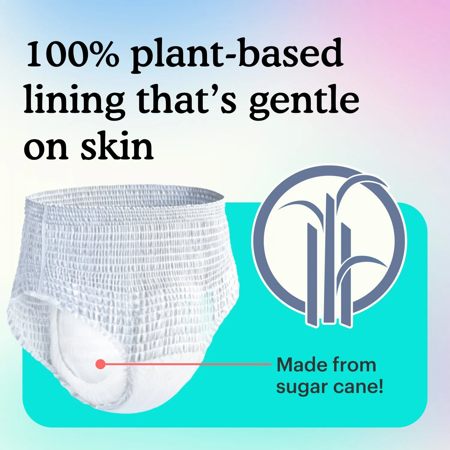 Starter Pack of Because Sensitive Overnight Underwear for Women